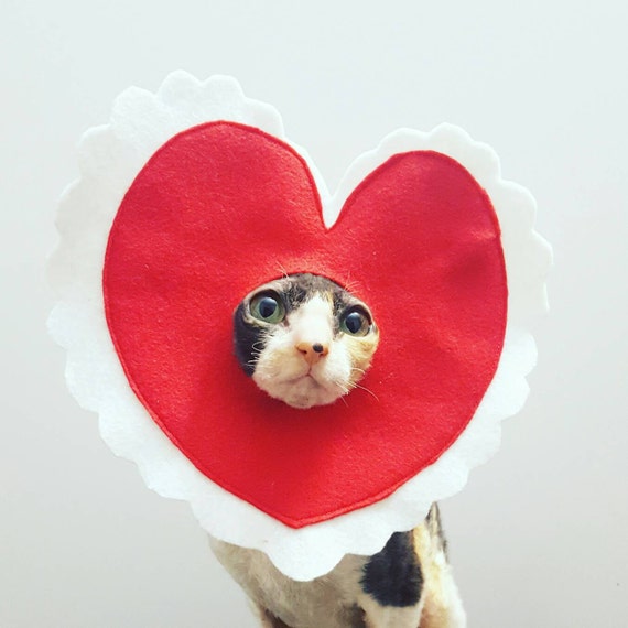 9 places to buy a Valentine's Day gift for your dog or cat - Los