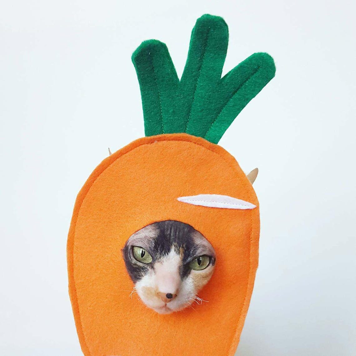 Carrot Hat Costume for Spring Easter Cat Dog or Small Pet Etsy
