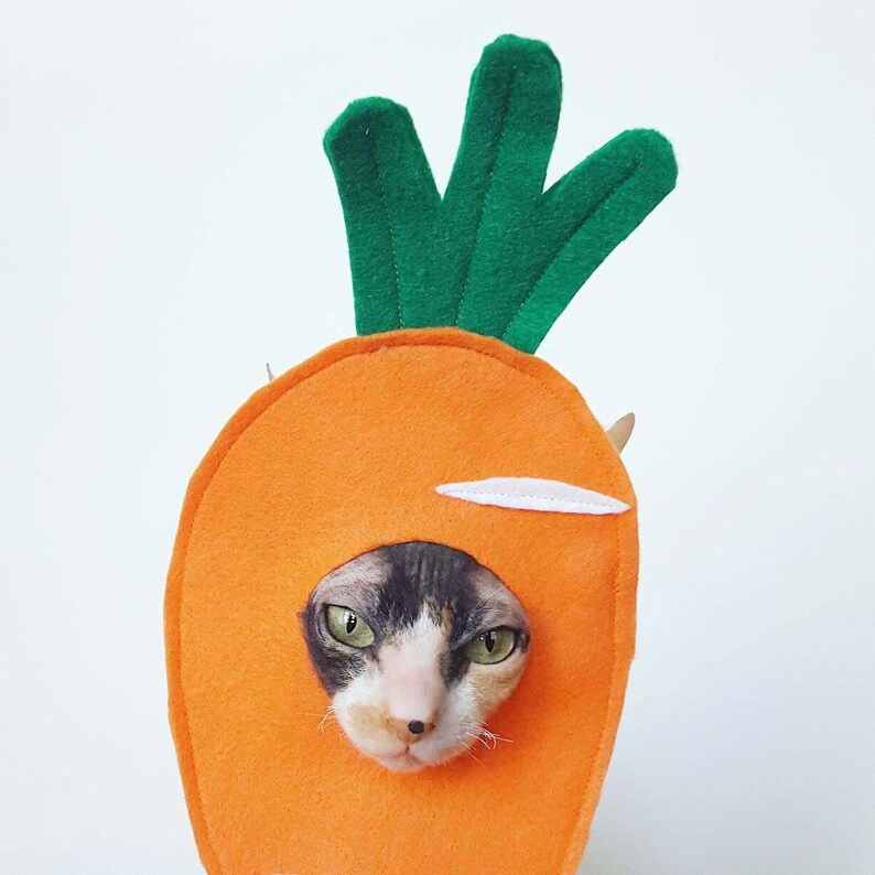 Carrot hat costume for Spring Easter cat dog or small pet Etsy