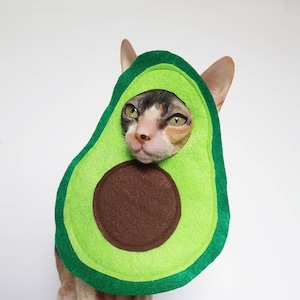 Avocado Avocato cat and small pet costume in soft green lightweight felt