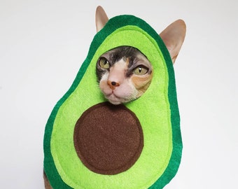 Avocado Avocato cat and small pet costume in soft green lightweight felt