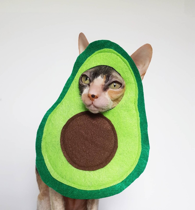 Avocado Avocato cat and small pet costume in soft green lightweight felt image 1