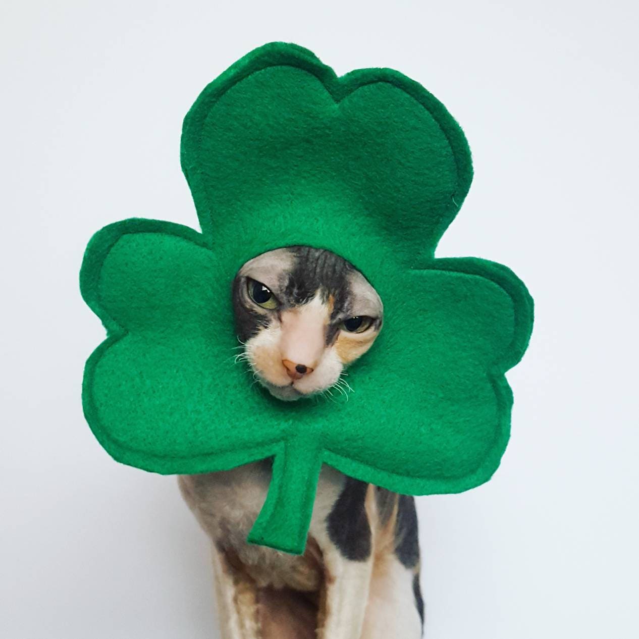 Lucky Clover Shamrock Pet Hat for Cats, Dogs, and Small Pets - Etsy