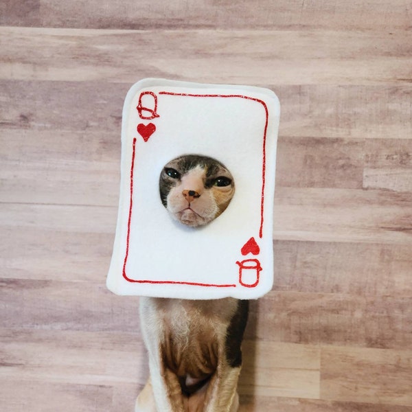 Queen or King of hearts pet costume for Valentine's Day small pets cats dogs lightweight soft easy to wear for photoshoots tiktok instagram