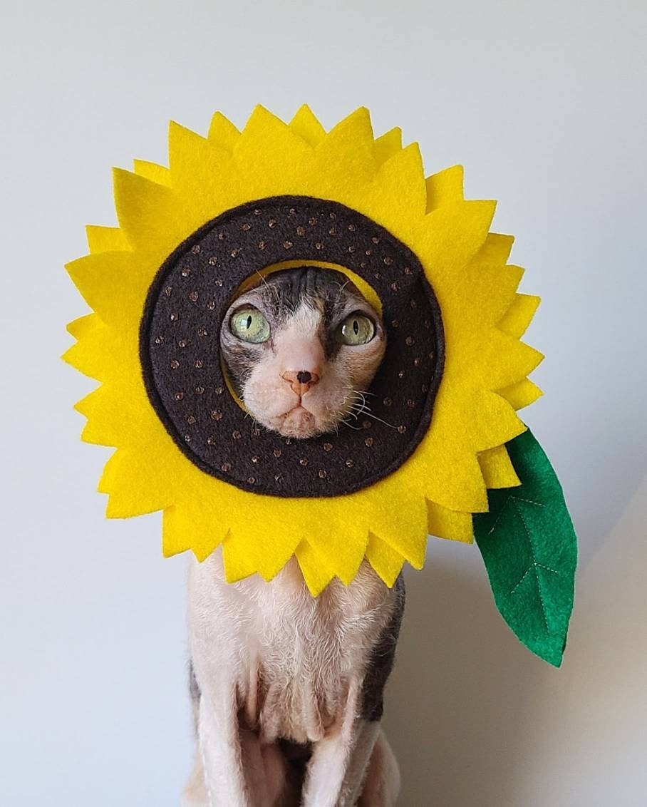 Handgestricktes Blumen-Halsband Für Hund & Katze – Bunt, Baumwolle, 30 Cm