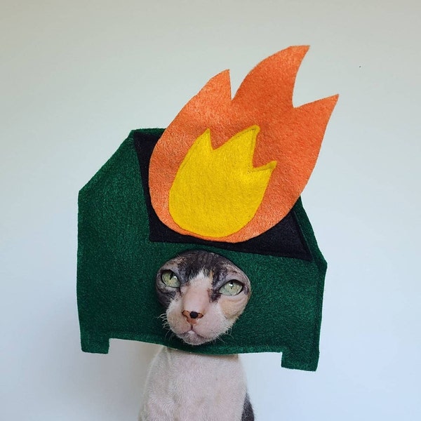 Dumpster Fire funny pet costume for tiktok instagram Halloween costume cats small pets small dogs meme pet clothing