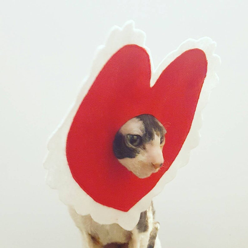 Valentine Pet Costume for cats dogs and pets of all sizes image 2