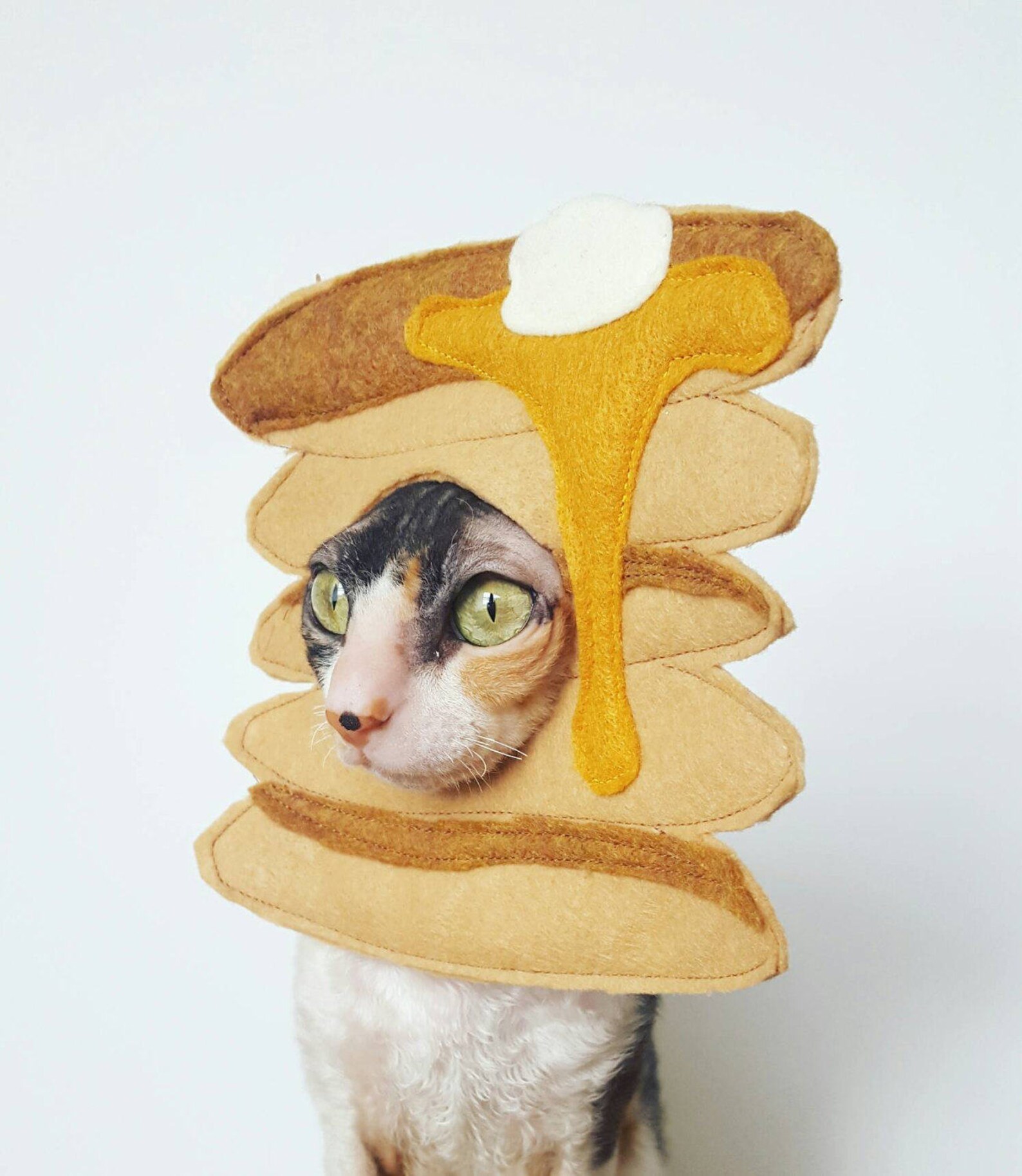 Pancake Pet Costume for Cats Dogs and Small Pets Breakfast Etsy