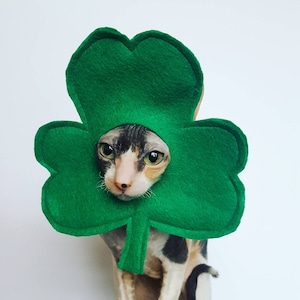 Lucky Clover Shamrock Pet Hat for Cats, Dogs, and Small Pets - Etsy