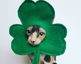 Lucky clover shamrock pet hat for cats, dogs, and small pets