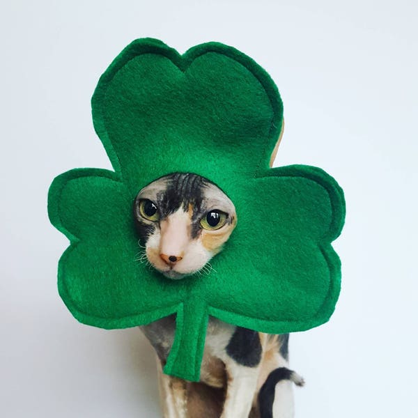 Lucky clover shamrock pet hat for cats, dogs, and small pets