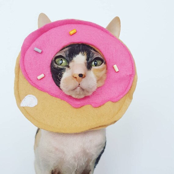 Donut Donut Hut Kostum Fur Katzen Kleine Hunde Und Haustiere Etsy