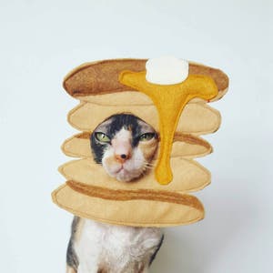 Pancake pet costume for cats dogs and small pets, breakfast costume