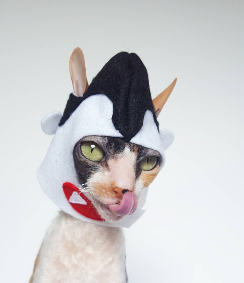 Vampire Dracula costume for cats and small dogs Halloween hat Etsy
