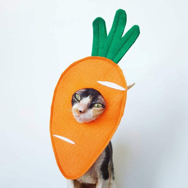 Carrot hat costume for cats small dog or small pet costume in soft orange felt for Halloween Spring Easter