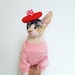 see more listings in the pet berets section