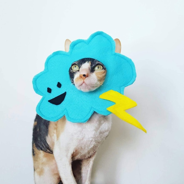 Thunderstorm lightning cloud pet costume for cats dogs and pets in soft felt