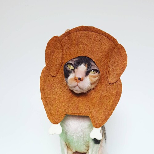 Pumpkin Pie Cat and Small Pet Hat Felt Costume Etsy