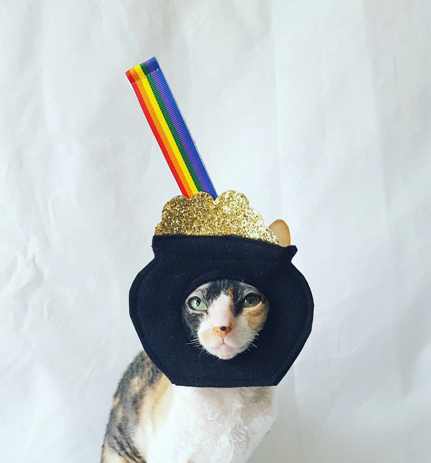 pot of gold fancy dress Make Your Life Easy Boatneck Top main image 0