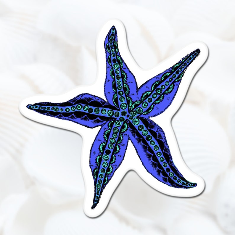 Starfish Sticker, Vinyl Beach Sticker, Sea Life Sticker afbeelding 1