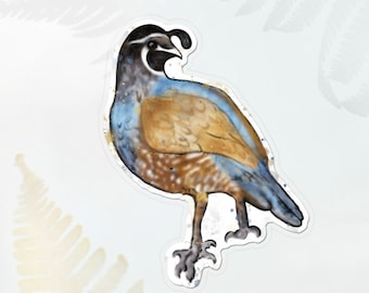 California Quail Sticker, State Bird, Nature Sticker