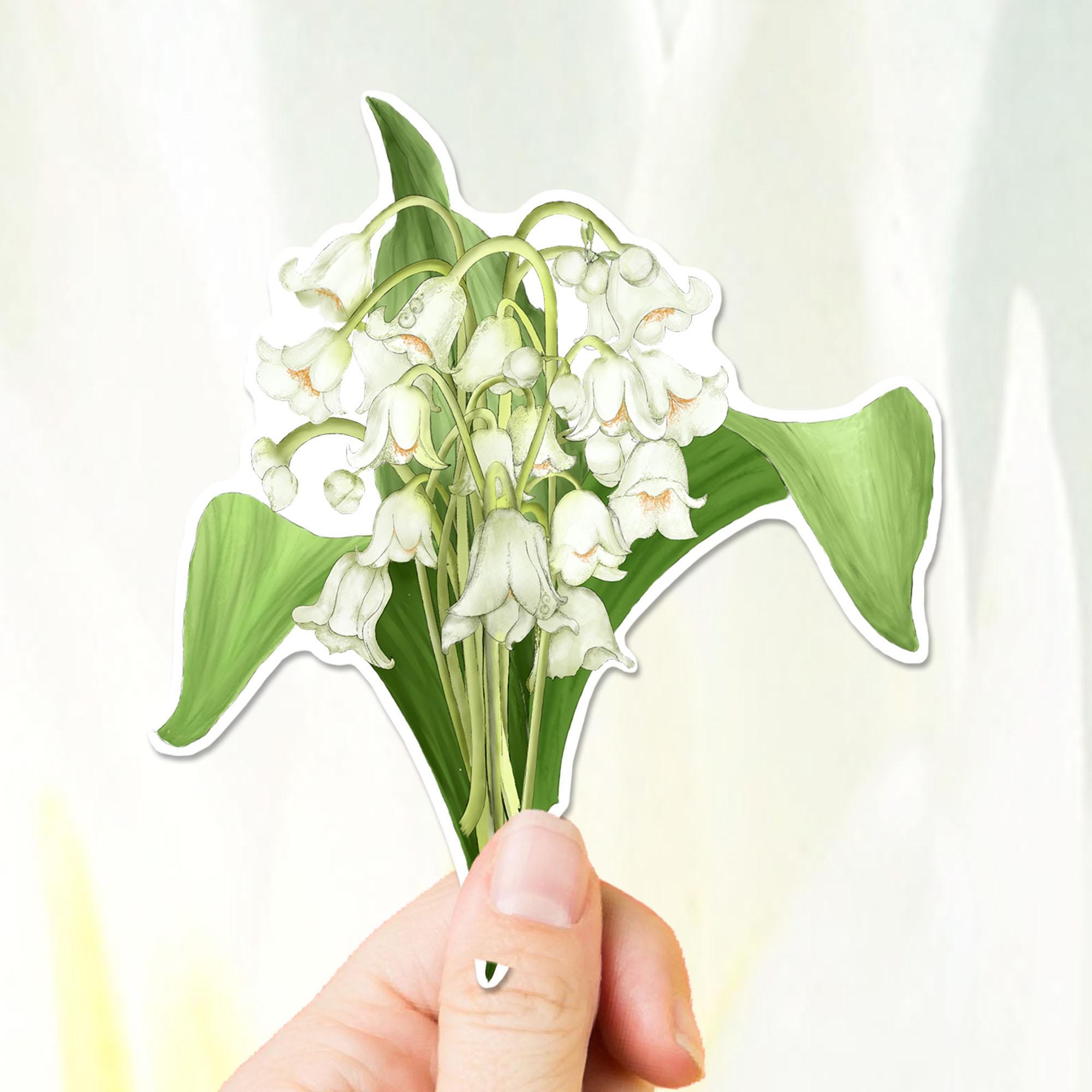Lily of the Valley Vinyl Sticker – Hand-drawn May Birth Flower - Etsy