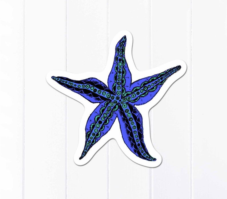 Starfish Sticker, Vinyl Beach Sticker, Sea Life Sticker afbeelding 6
