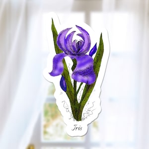 May include: A purple iris flower with green leaves and intricate details. The flower is drawn in a vintage style with a black outline and shading. The word "Iris" is written below the flower.