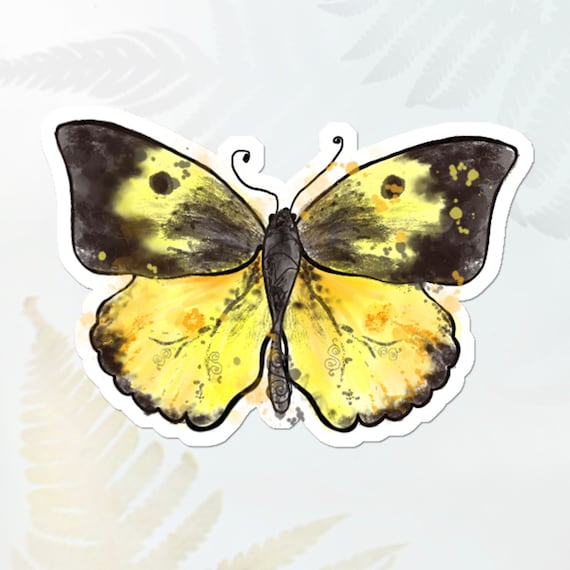 California Butterfly Decal California Butterfly Decal