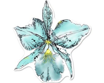 Cattleya Orchid Vinyl Sticker – Waterproof Flower Sticker, Hand Drawn by Kate
