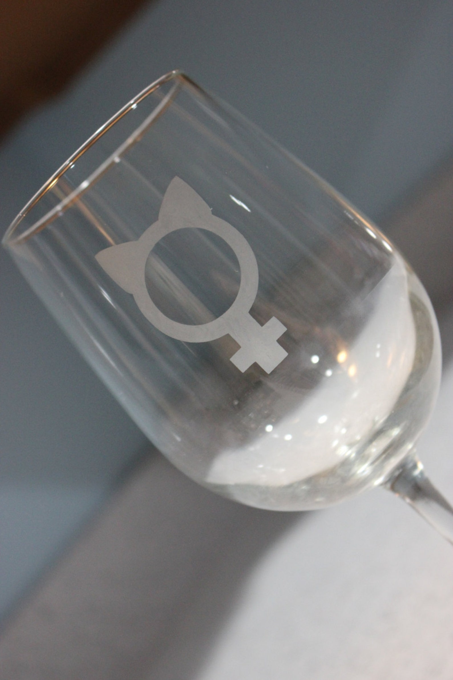 Pussy Hat Wine Glass Pussy Hat Womens Glass Protest Glass Etsy
