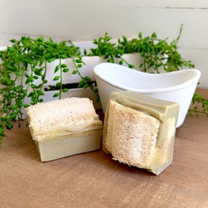 Refreshing Loofah Goat Milk Soap, Goat Milk Soap, Natural Loofah Soap Loofa Soap, Rosemary, Grapefruit, Peppermint Loofah Goat Milk Soap