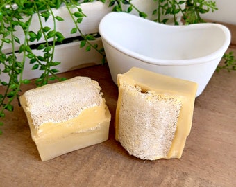 Lemon Zest Loofah Soap ~Goat Milk Soap ~Natural Loofah Soap ~Loofa Soap ~Goat Milk Loofah Soap  ~Holistic Loofah Soap ~Lemon Basil Soap