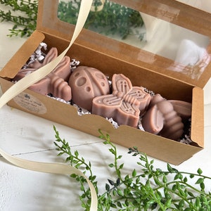 May include: A brown cardboard box with a clear plastic window lid. The box contains four small, handmade soap bars shaped like a ladybug, butterfly, and two bees. The soaps are a light pink color and have a natural, rustic look. The box is surrounded by green leafy sprigs.