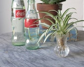 20 39 s Glass Bud Vase Propagation