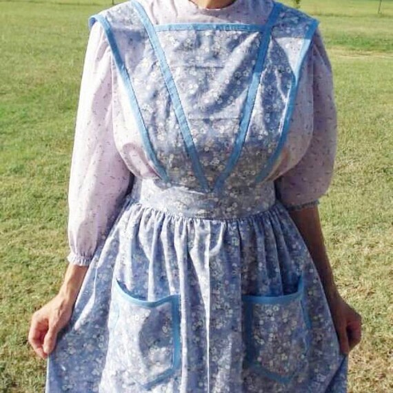 plus size pioneer dress