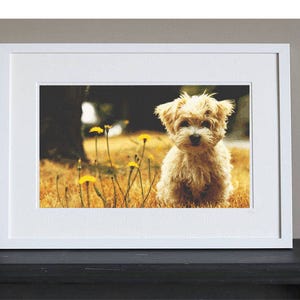 Cross Stitch Pattern - Dog - Cute Terrier Puppy - Instant Download