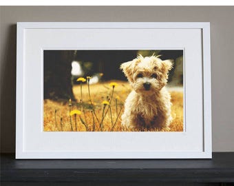 Cross Stitch Pattern - Dog - Cute Terrier Puppy - Instant Download