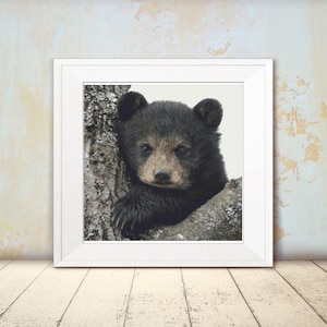 Cross Stitch Pattern - Cute Brown Bear Cub - Instant Download