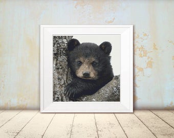 Cross Stitch Pattern - Cute Brown Bear Cub - Instant Download