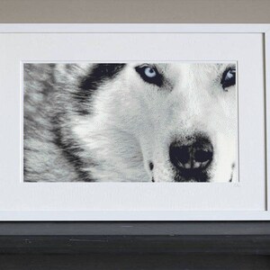 Cross Stitch Pattern - Large - Wolf - Instant Download