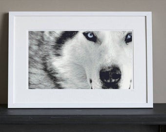 Cross Stitch Pattern - Large - Wolf - Instant Download