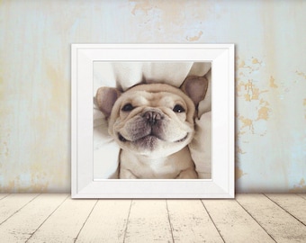 Cross Stitch Pattern - Dog - Cute Funny Pug Puppy - Instant Download