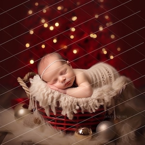 Christmas Newborn Digital Backdrop: Fine Art Overlay (16x24 Digital Download