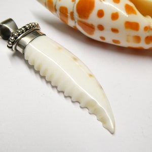Puede incluir: Un colgante de concha blanca con un borde de cuentas plateadas. La concha tiene forma de diente y un borde dentado.