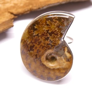 Anillo de plata, fósil de caracol Nautilus, engaste de plata de primera ley hecho a mano, talla 62, regalo, joyería para mujer