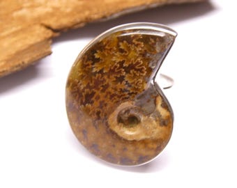 Ring silver, Nautilus snail fossil, setting sterling silver handmade, size 62, gift, jewelry for women