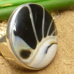 Anillo Plata, caracol Nautilus, engaste Plata de Ley hecho a mano Bali, tallas 54 - 17.2, joyas para mujer