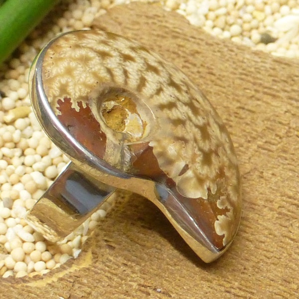 Ring silver , Nautilus snail fossil , setting sterling silver handmade , size 56 and 62 , gift, jewelry for women