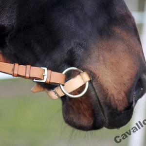 May include: Close-up of a brown horse's nose with a leather halter and a silver ring bit. The horse's nostrils are visible, and the halter is fastened around the horse's head. The text "Cavallo_Rosso" is visible in the lower right corner of the image.